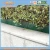 Import 9M X 10CM Professional Manufacturing Plastic Garden Fence PE eco-friendly garden fence from China