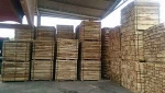 Acacia Sawn Timber/ pallet sawn timber/ pine sawn timber