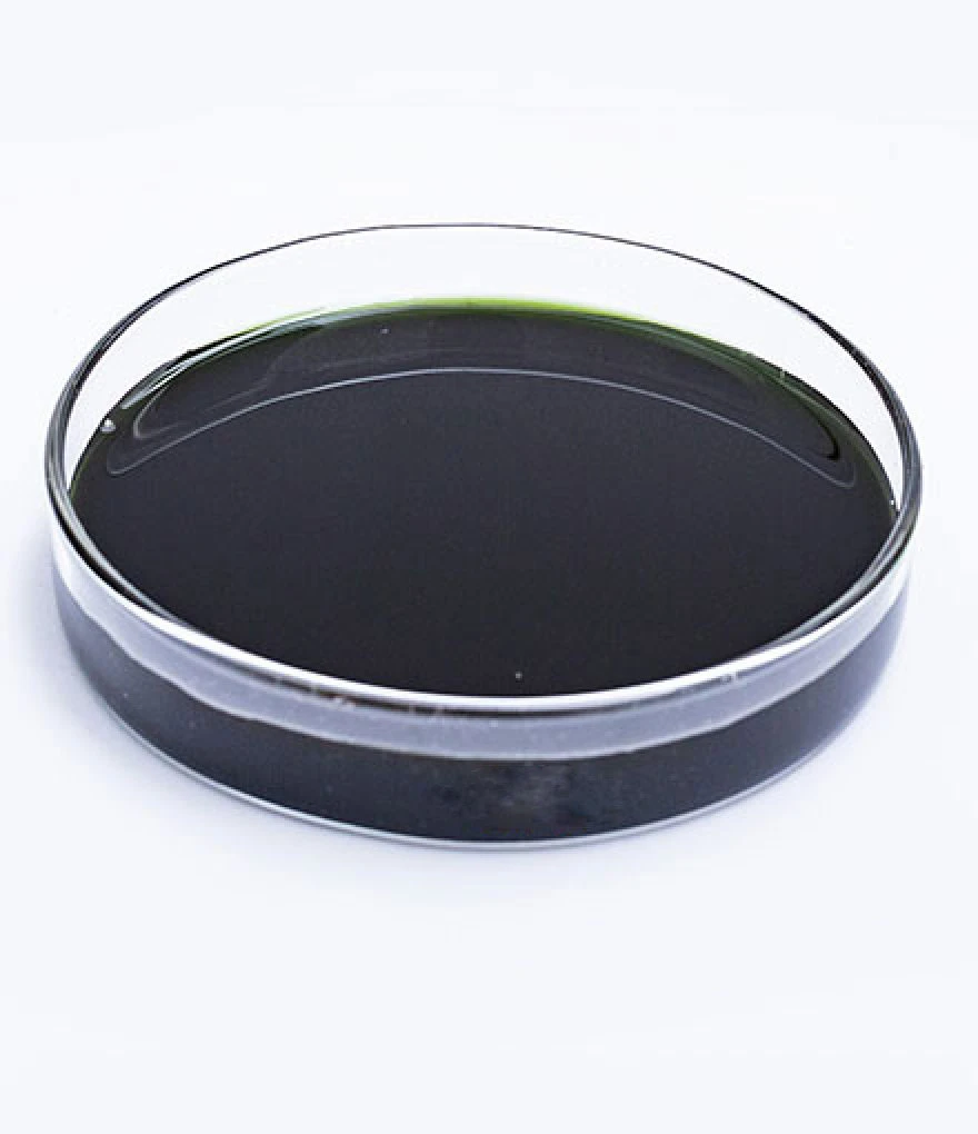 Agriculture 100% Organic Used New Products Super Alga Concentrated Seaweed Extract Liquid