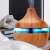 Import Air Explosion Colorful Wood Grain Aroma Machine humidifier, portable car home USB sound wave nebulizer large capacity from China