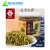 Import Aoyang ISO Cetification Herbal Natural Cassia Seed Tea from China
