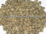 Arabica Coffee Bean