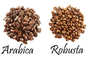 Arabica roasted coffee beans from Vietnam