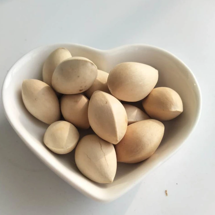 Bai Guo Factory Supply High Quality Dried Gingko Nuts Herb Chinese Medicine Ginkgo Biloba