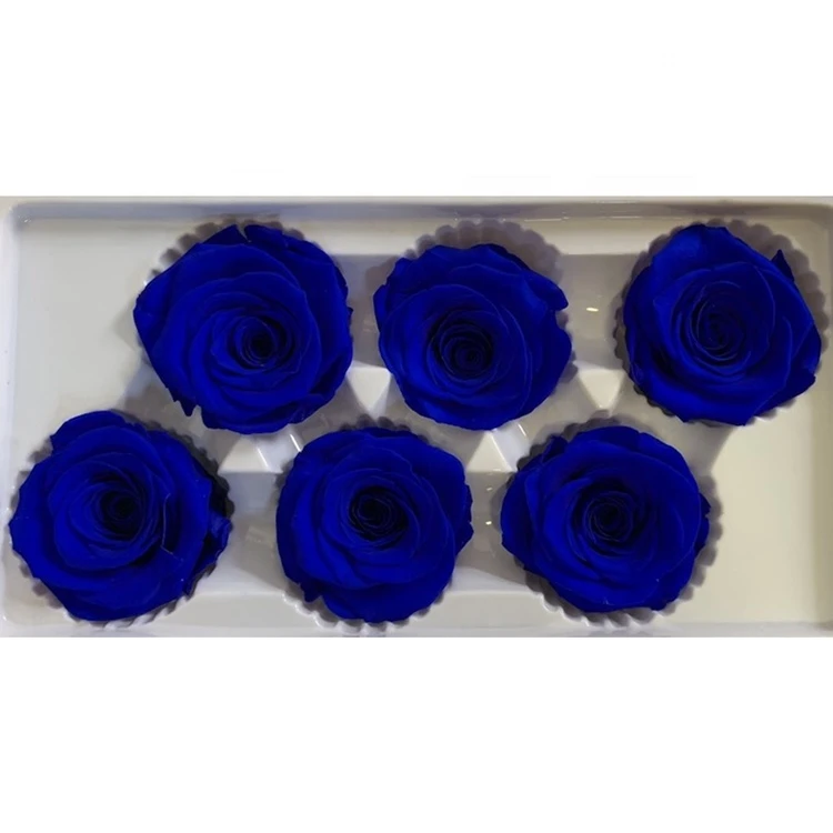 Beautiful color preserved flower 5-6cm Preserved rose head for gift decoration