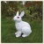 Import Bespoke resin decorative lovely standing rabbit sculpture for garden decoration from China