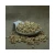 Import Best Quality | WHOLESALE PREMIUM  Conventional Diced Hazelnuts | Ready to ship from Italy