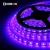 Import Best selling landscape wall decorative light SMD 5050 RGB IP67 12V led flexible led strip from China