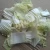 Import Big Capacity Cabbage Cutting Machine Leek Cutting Machine from China