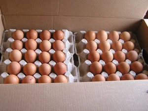 Big Fresh Farm Brown Table Chicken Eggs
