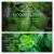 Import BIOAQUA factory private label Beauty Professional Skin Care Anti Aging Whitening avocado skin care set from China
