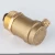 Import Brass Automatic Air Vent Valve from China