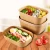 Brown Rectangular Food Plastic Trays, Rice Bento Takeaway Plastic Box, Fast Food Plastic Containers, Lunch Plastic Boxes