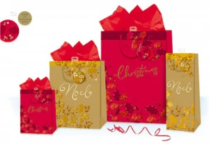 BSCI&Disney Audit Free Samples Packing Gift Paper Bag