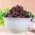 Import Bulk packaging Chinese seasoning halal black bean chili sauce from China