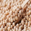 Buy Yellow Egypt Top Style Packing Organic CHICKPEAS Bags Weight Form Shelf Natural Origin Drum Type Life Land Variety MOQ 25TON