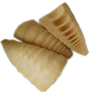 Canned bamboo shoot strips in tin 567g