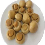Canned Food Canned Champignon Mushrooms