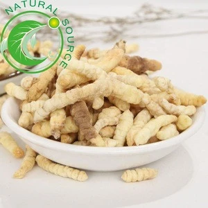 Cao Shi Can Factory Supply Good Quality Medicinal Herb Stachys Sieboldi With Low Price