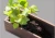 Import Carbonized Anti-corrosion Flower Pot Succulent Wood Creative Solid Rectangular Wooden Log Flower Pots from China