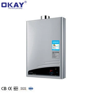 CE Certificate Customized Domestic Bathroom Instant Gas Shower Hot Water Heater