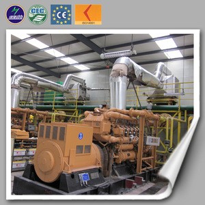 CE ISO Approved Alternative Energy 10kw-1mw biomass generator