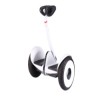 Cheap 54V 500W Electric Scooter, 2 Wheels Electric Hoverboard (ESK-016)