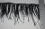 Import Chiffon pheasant feather fringe ostrich trimming for dress from China