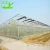 Import China hot sale multi span plastic tunnel film greenhouse from China