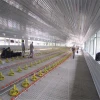 China Prefab Steel Structure Chicken Poultry Farm Farming Design House 1000 Egg Chicknes Houses Price Coop Shed For Sale