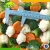 Import Chinese Fresh Frozen IQF Cauliflower from China