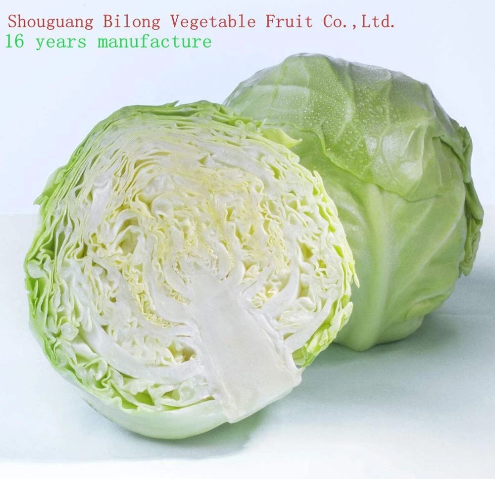 Chinese Fresh round cabbage/Beijing cabbage  /flat cabbage supplying to world