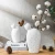 Import Chinese Modern porcelain home hotel goods decoration flower vase types of cactus designs decorative ceramic vase for home decor from China