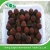 Import Chinese red fresh bayberry from China