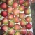 Import Chinese Sweet Taste Fresh Delicious Red huaniu apples wholesale from China