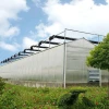Competitive  polly tunnel greenhouse indoor greenhouse plastic uv greenhouse