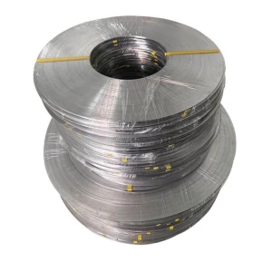 Competitive price wholesale 0.15-0.3mm 200 series steel strip