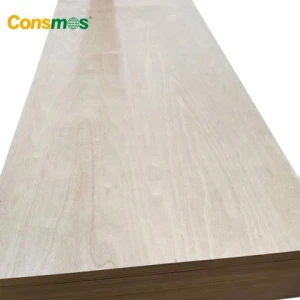 CONSMOS 1220x2440mm 15mm 18mm Okoume Poplar Core Commercial Plywoods Furniture Grade