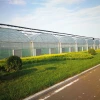 Cost-effective greenhouse farming polycarbonate agriculture green house