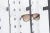 Import countertop eyewear sunglasses stand display rack from China