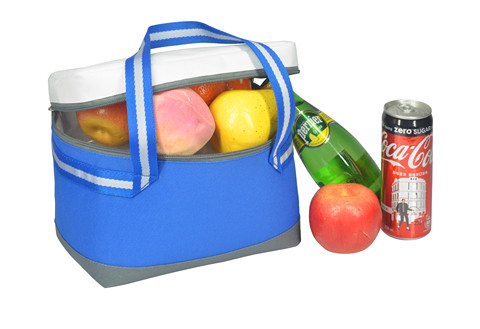 Custom 6 Bottle Cooler Bag Insulated Lunch Bag For Beers Cans and Ice
