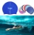 Import custom printed Promotional adult silicone swim cap from China