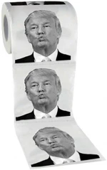 Customize hotel home use toilet tissue paper roll