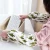 Cute Winter oversleeve Dust-proof Home Cleaning Accessories