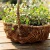 Import decorative hand-crafted wicker basket for sale from China