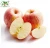 Import Delicious and sweet fresh red Fuji apple with competitive price,16 kg carton packaging fresh apple exporter from China
