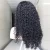 Import 150% Density Curly Human Hair Wig 13x4 Front Lace Wig 100% Human Hair Pre Pluked Brazilian Remy Human Hair from China