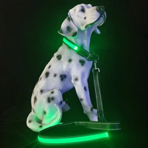 dog leash pet dog collars and leash pet products 2021 dog leash set