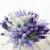Import dried lavender flowers for hall decoration from China