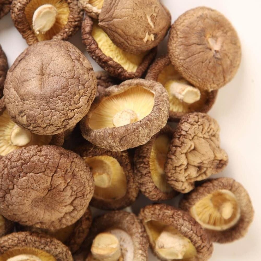 dried  shiitake mushroom